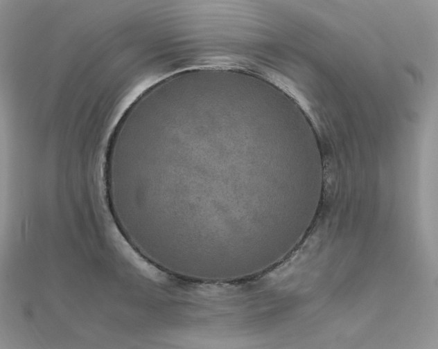 X0000112011091200908031302