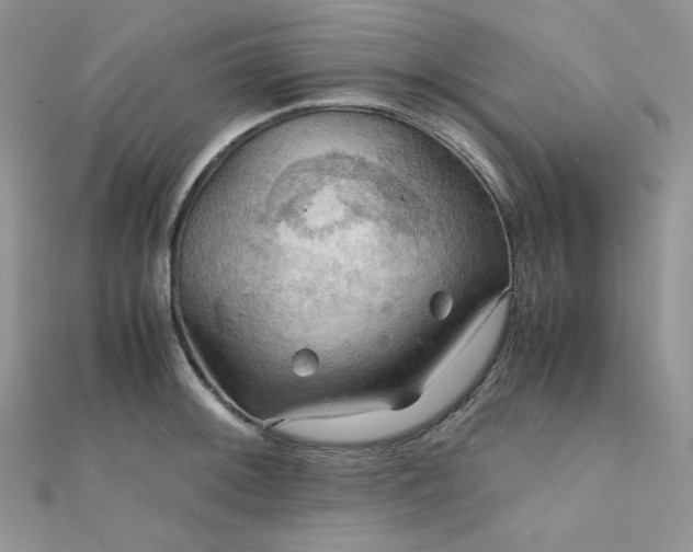 X0000112011092200908031302