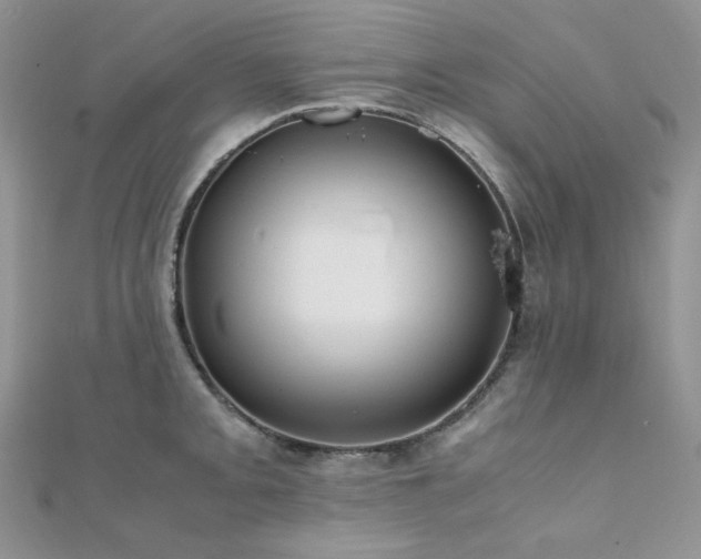 X0000112011093200908031302