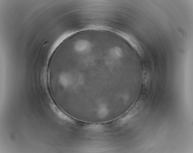 X0000112011094200908031302