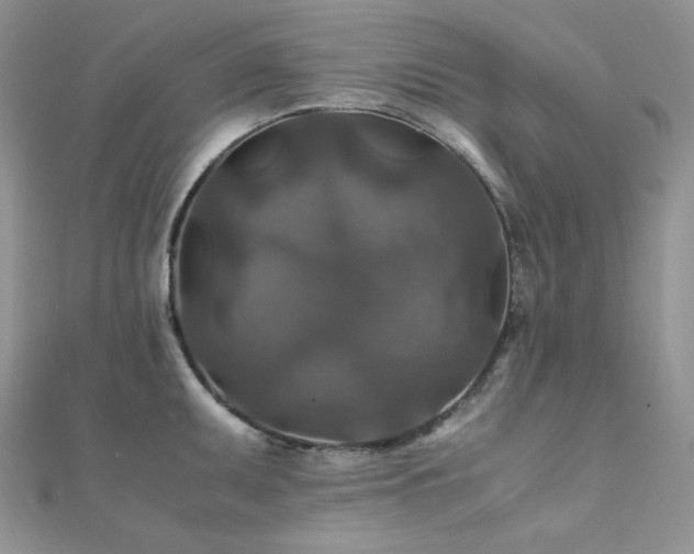 X0000112011095200908031302