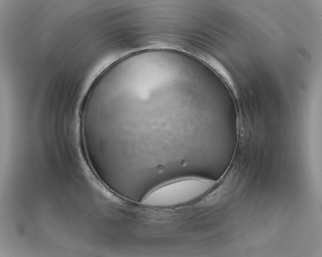 X0000112011096200908031302