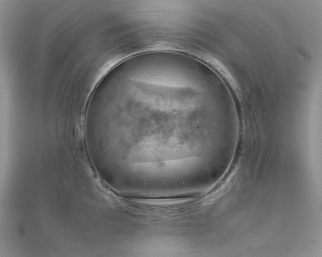 X0000112011097200908031302
