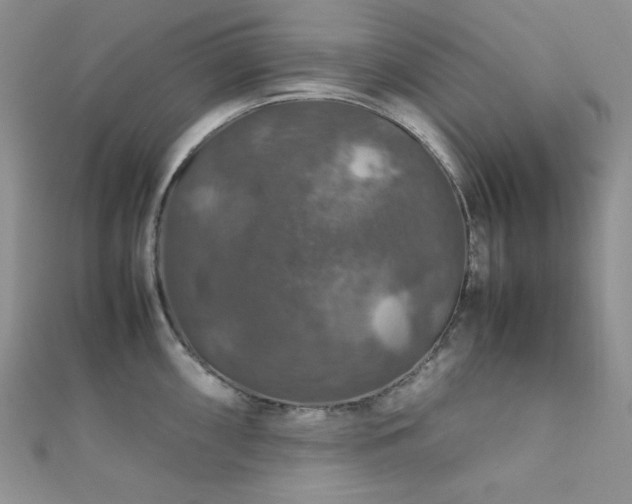 X0000112011098200908031302
