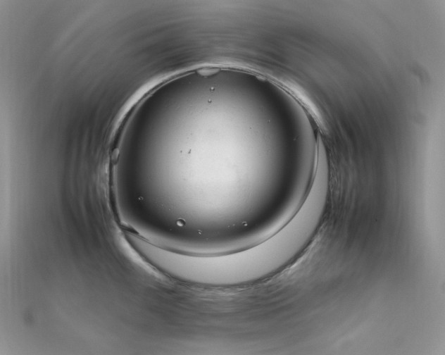 X0000112011100200908031302