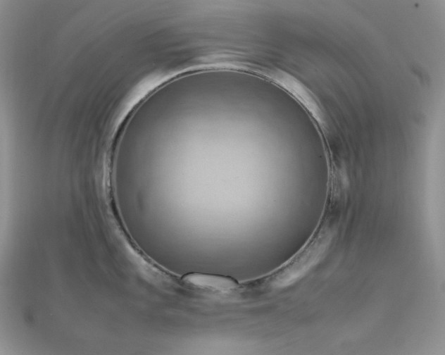 X0000112011101200908031302