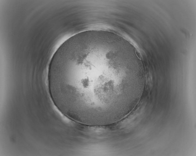 X0000112011103200908031302