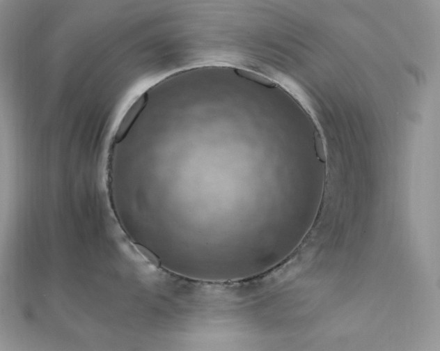 X0000112011104200908031302
