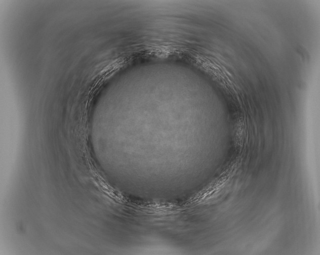 X0000112011105200908031301