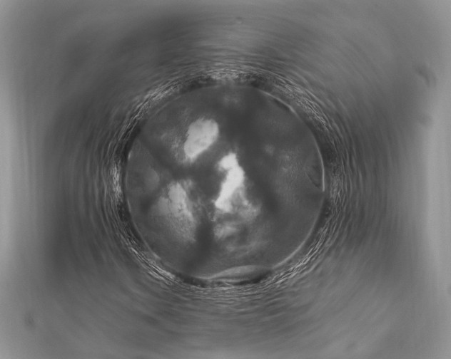 X0000112011106200908031301