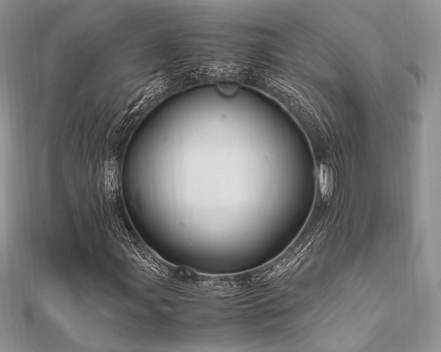 X0000112011107200908031301