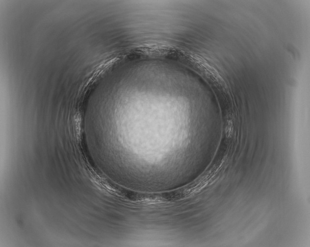 X0000112011108200908031301