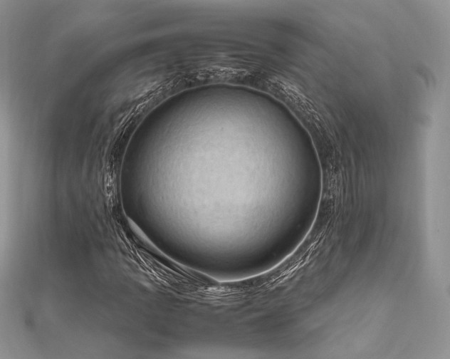 X0000112011109200908031301
