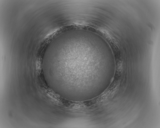 X0000112011110200908031301