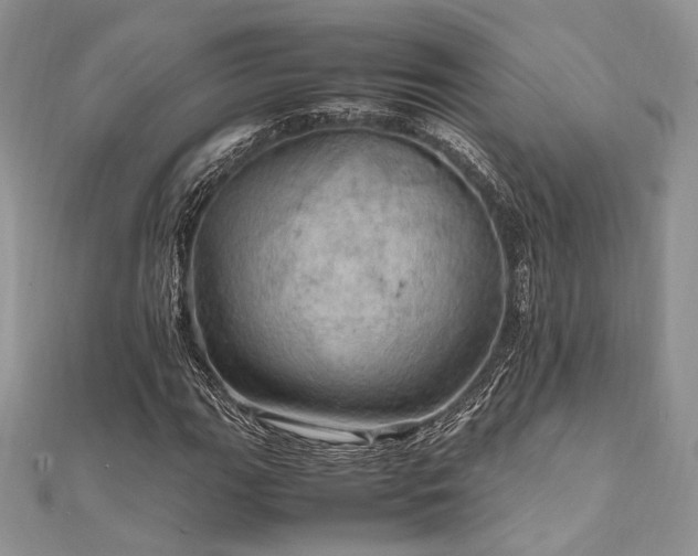 X0000112011111200908031301