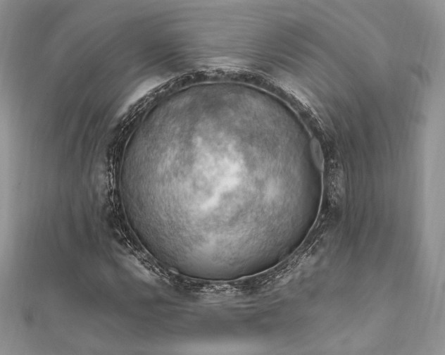X0000112011112200908031301