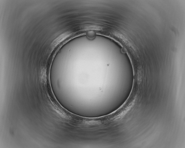 X0000112011113200908031301