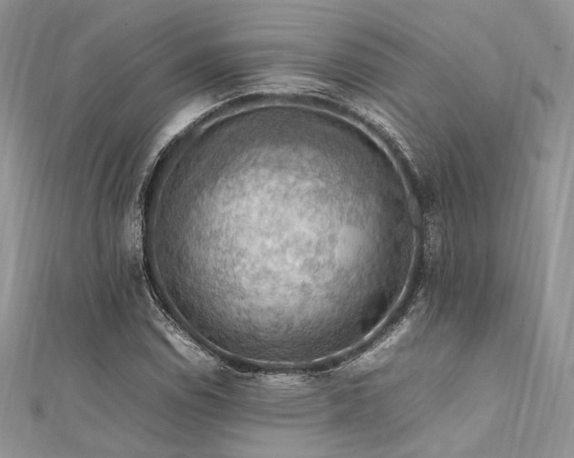 X0000112011114200908031301