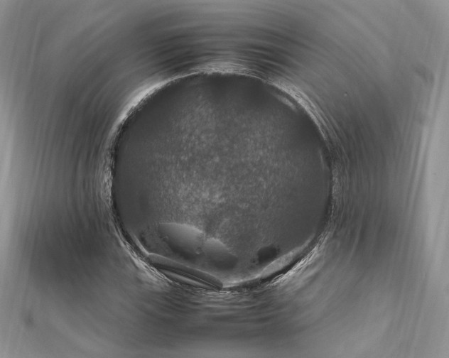 X0000112011115200908031301