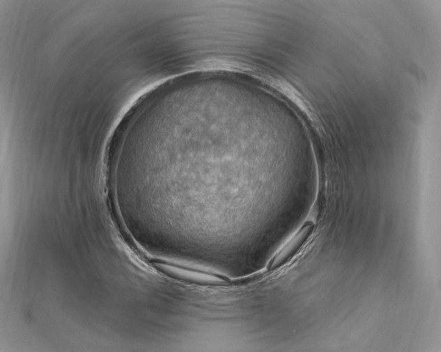 X0000112011116200908031301