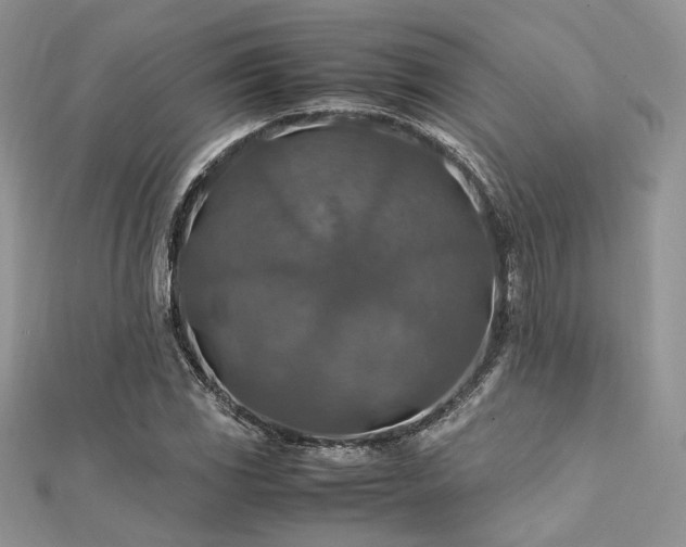 X0000112011117200908031301