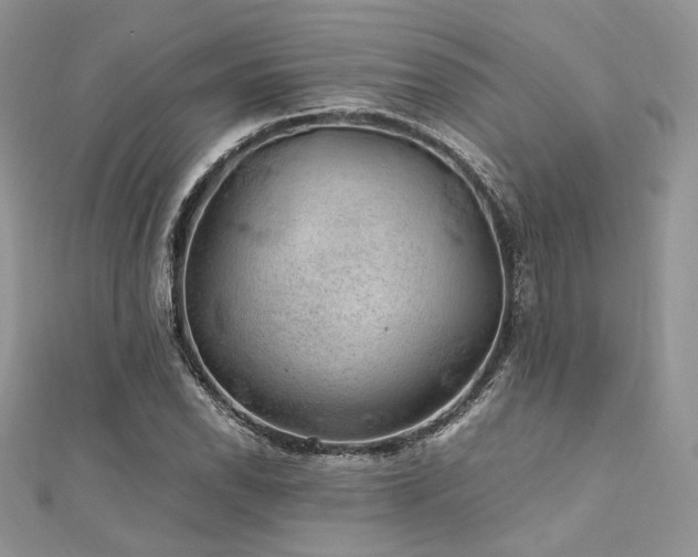X0000112011118200908031301