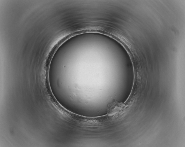 X0000112011119200908031301