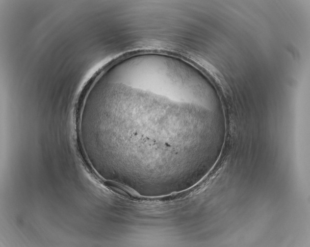 X0000112011120200908031301