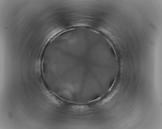 X0000112011121200908031301