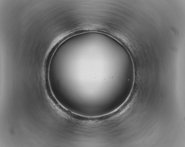 X0000112011122200908031301