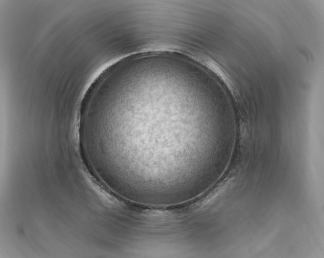 X0000112011124200908031301