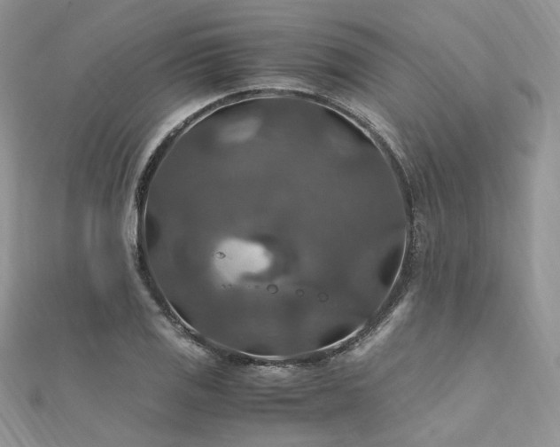 X0000112011125200908031301
