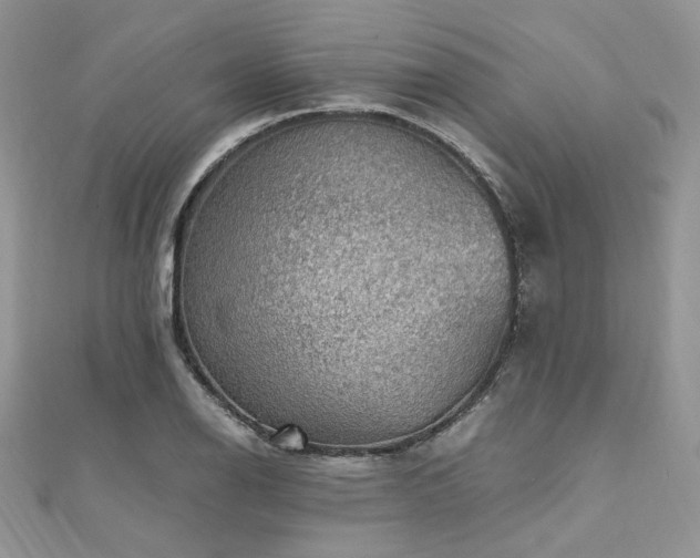 X0000112011126200908031301