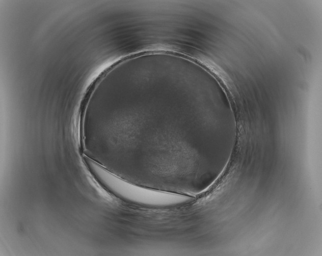 X0000112011127200908031301