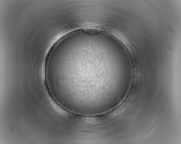 X0000112011128200908031301