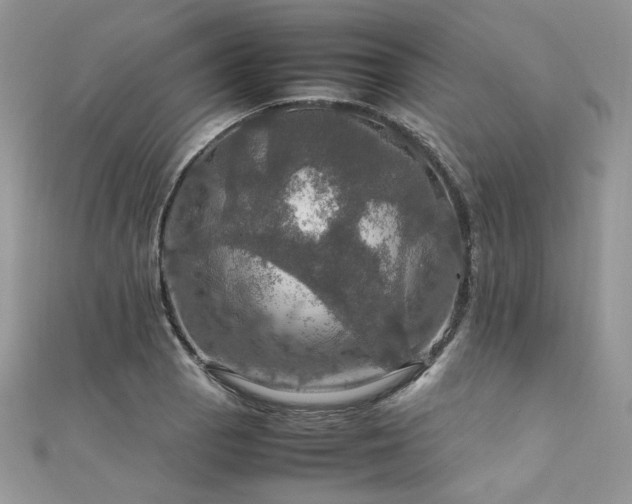 X0000112011129200908031301