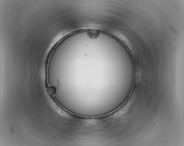 X0000112011130200908031301