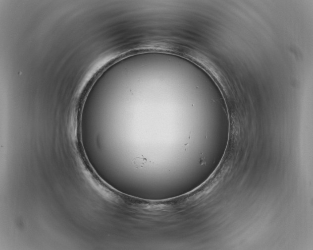 X0000112011131200908031301