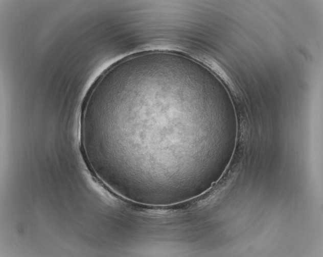 X0000112011132200908031301