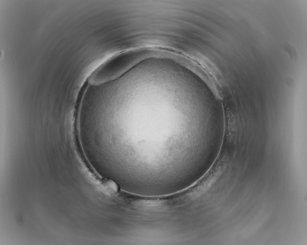 X0000112011134200908031301