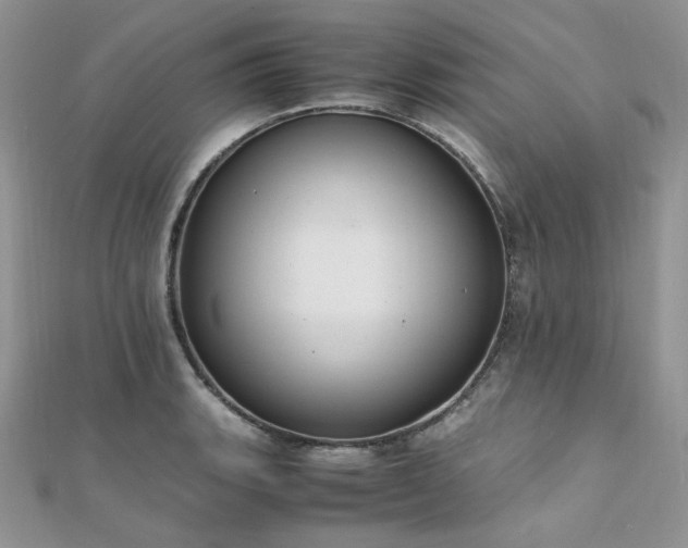 X0000112011135200908031301