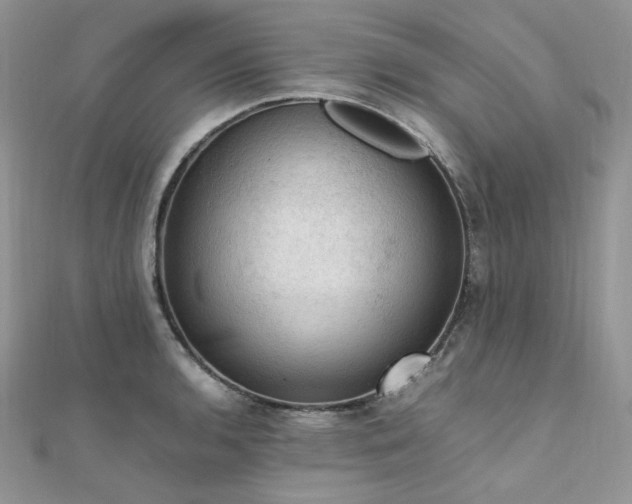 X0000112011136200908031301