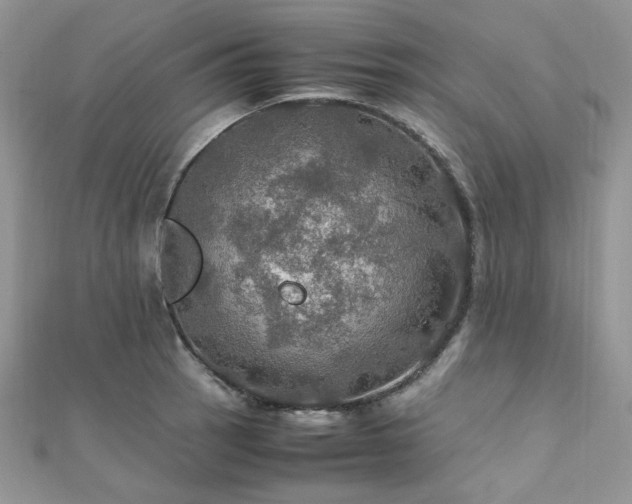 X0000112011137200908031301