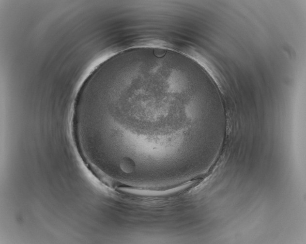X0000112011139200908031302