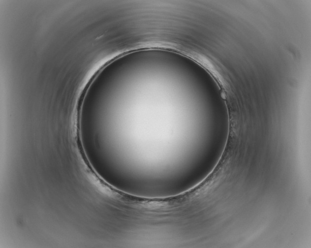 X0000112011140200908031302