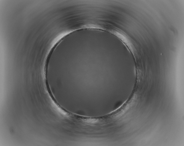 X0000112011141200908031302
