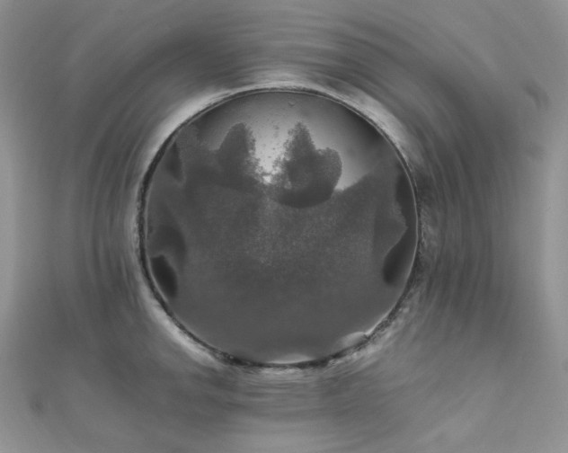 X0000112011142200908031302