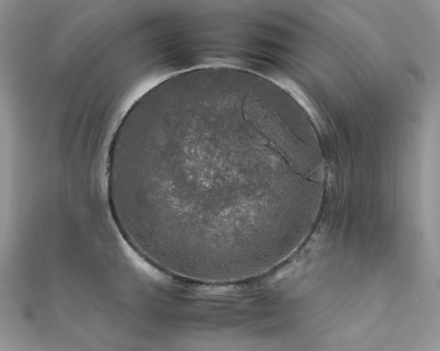 X0000112011143200908031302