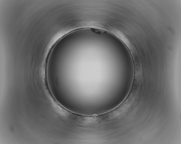 X0000112011144200908031302