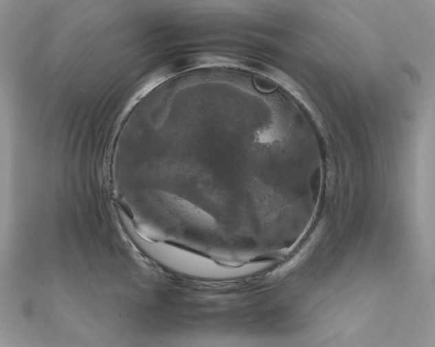 X0000112011145200908031302